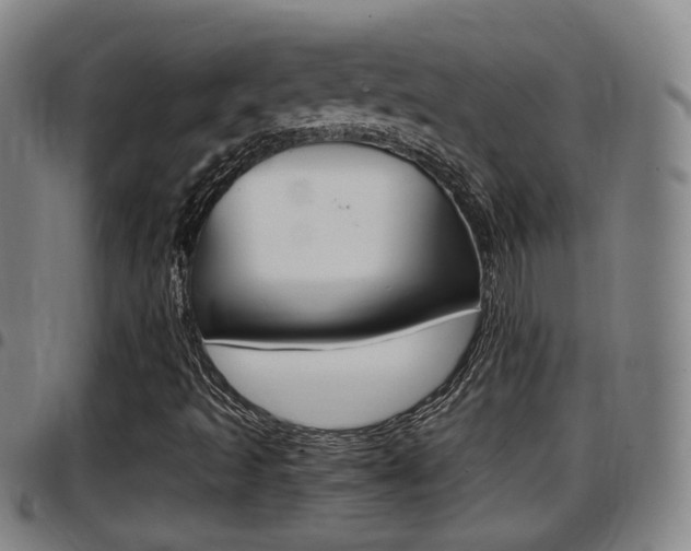 X0000097881493200803140930