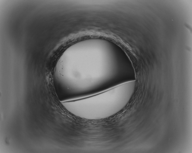 X0000097881495200803140930