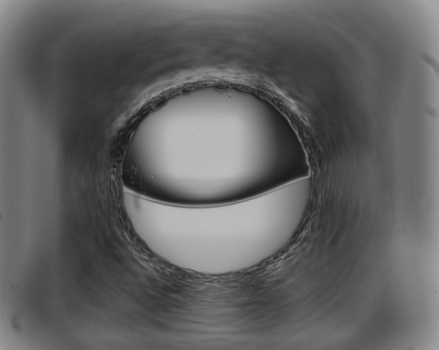 X0000097881496200803140930