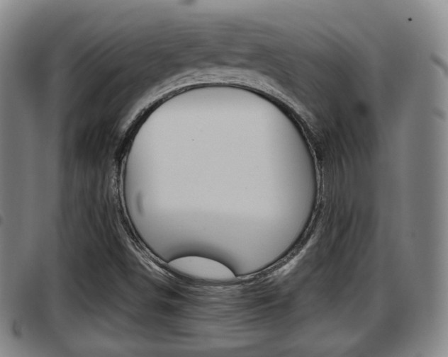 X0000097881498200803140930