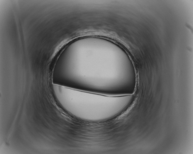 X0000097881501200803140930