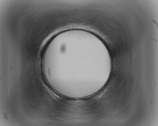 X0000097881502200803140930