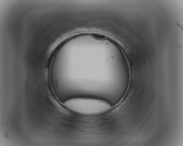 X0000097881503200803140930