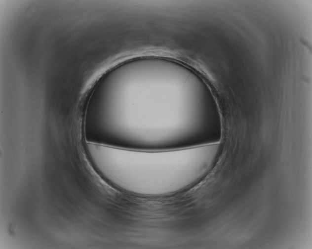 X0000097881504200803140930