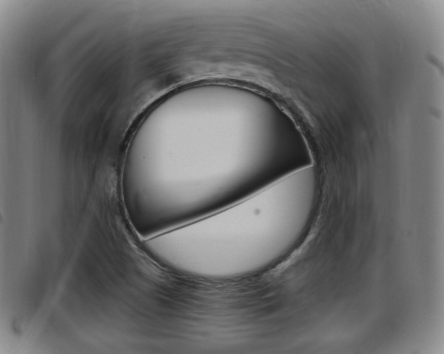 X0000097881505200803140930