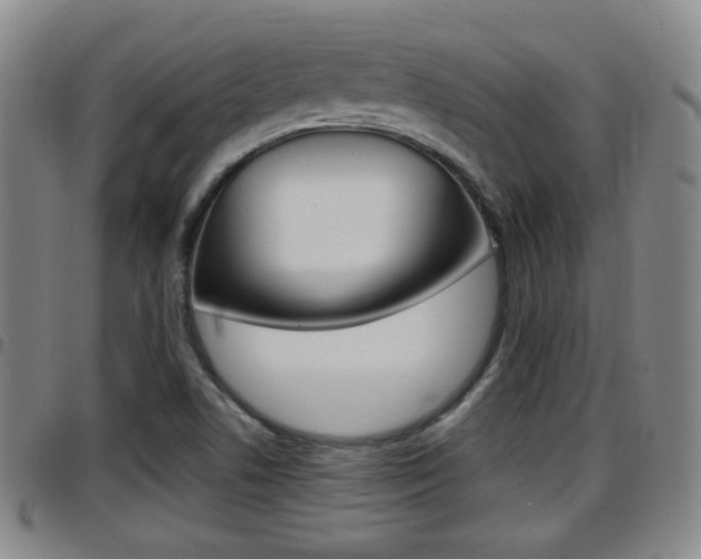 X0000097881506200803140930