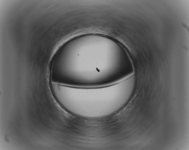 X0000097881508200803140930