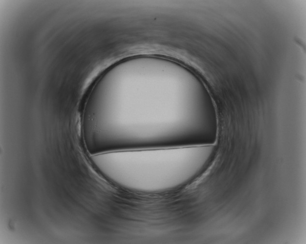 X0000097881509200803140931