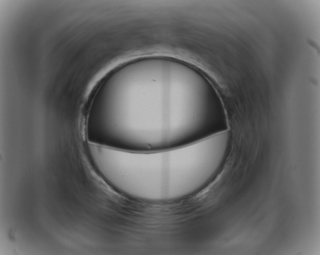 X0000097881510200803140931