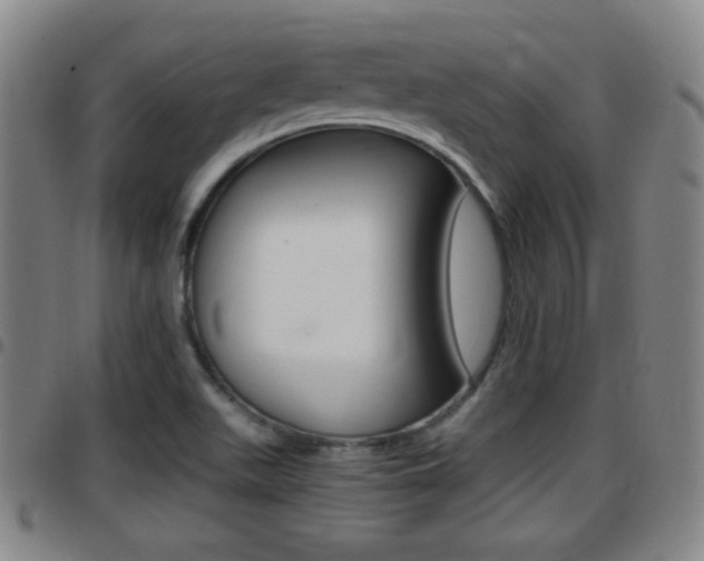 X0000097881511200803140931