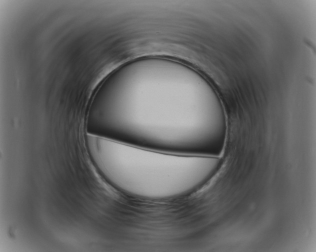 X0000097881513200803140931