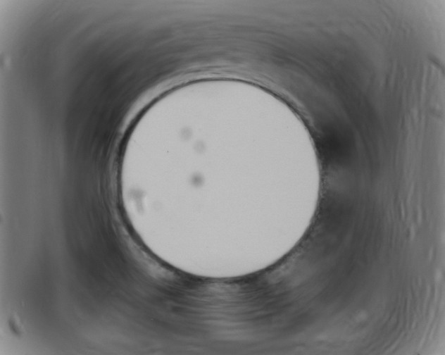 X0000097881514200803140931