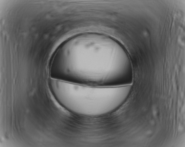 X0000097881515200803140931
