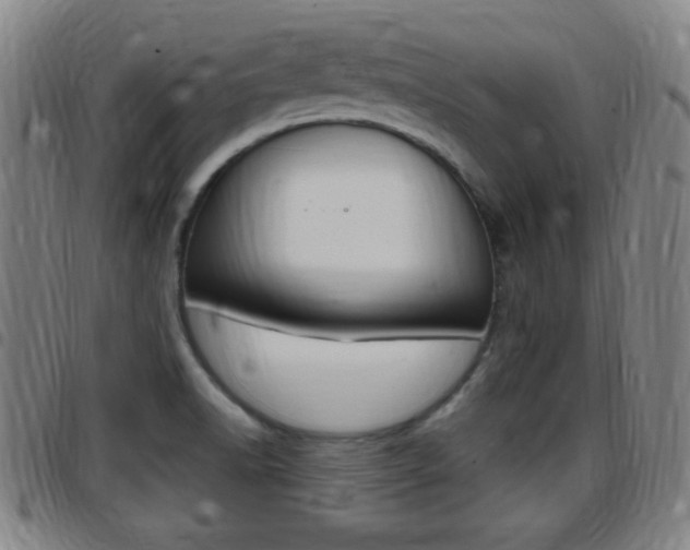 X0000097881518200803140931