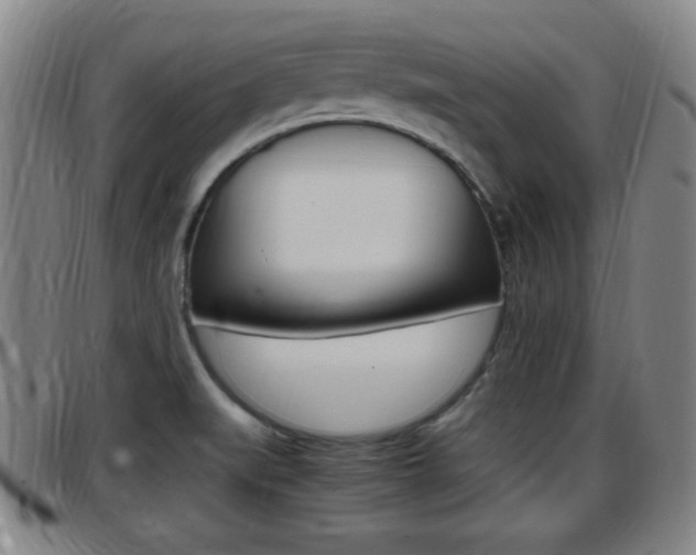 X0000097881519200803140931