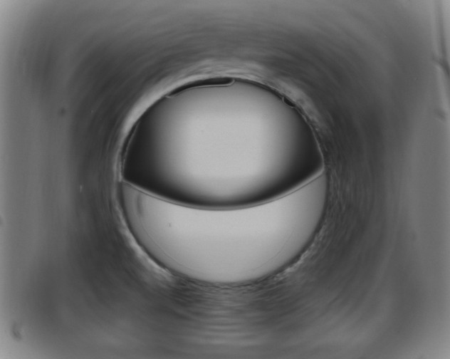 X0000097881520200803140931