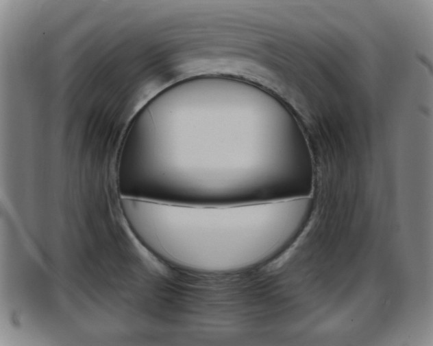 X0000097881521200803140931