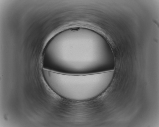 X0000097881522200803140931