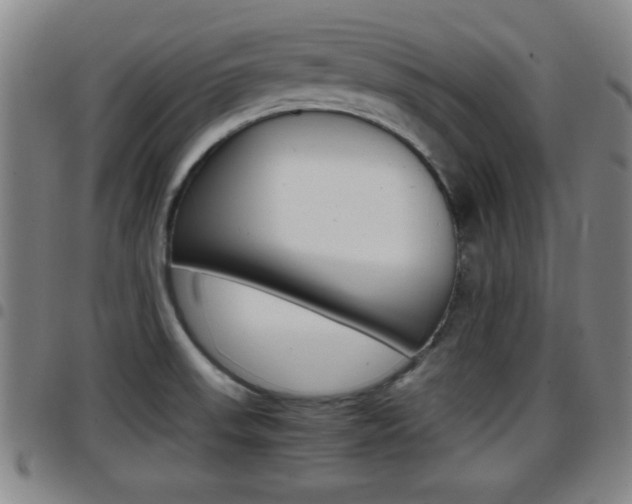 X0000097881523200803140931