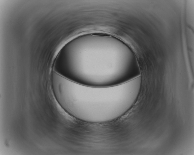 X0000097881524200803140931