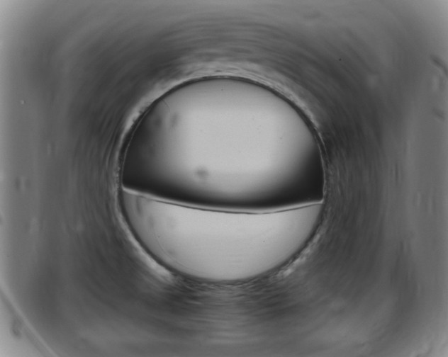 X0000097881525200803140931