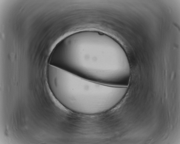 X0000097881526200803140931