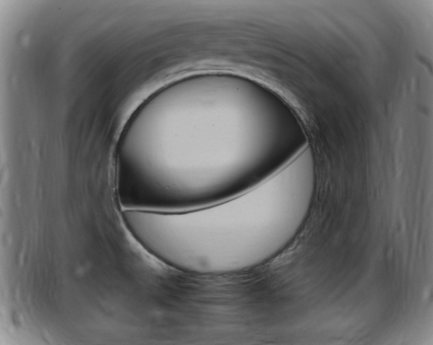 X0000097881527200803140931