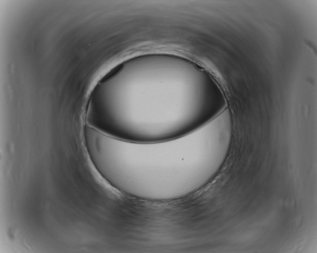 X0000097881528200803140931