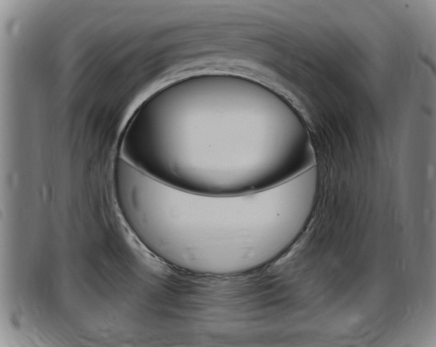 X0000097881530200803140931