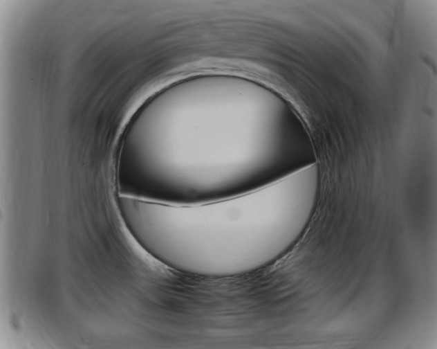 X0000097881531200803140931