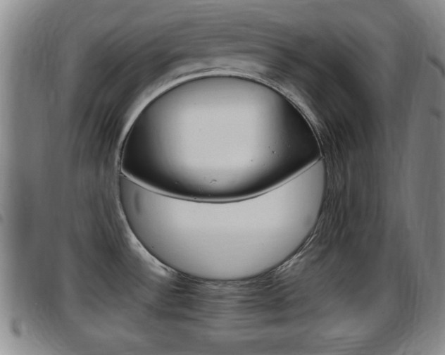 X0000097881532200803140931