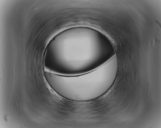 X0000097881534200803140931