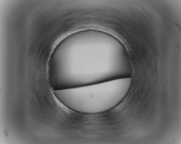 X0000097881535200803140931