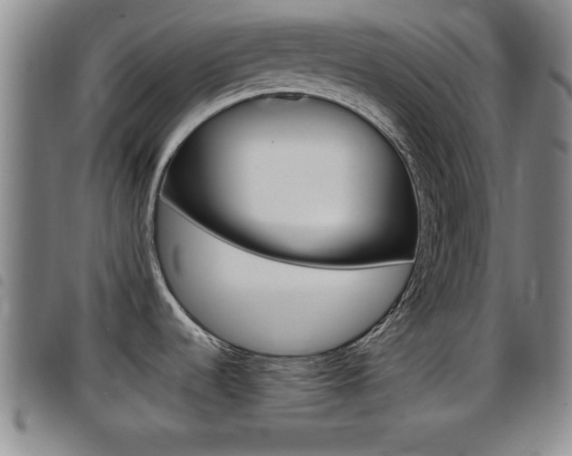 X0000097881536200803140931