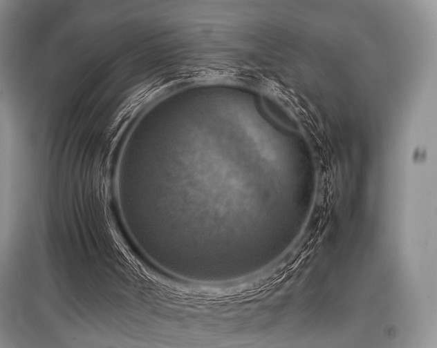 X0000097880002200803141330