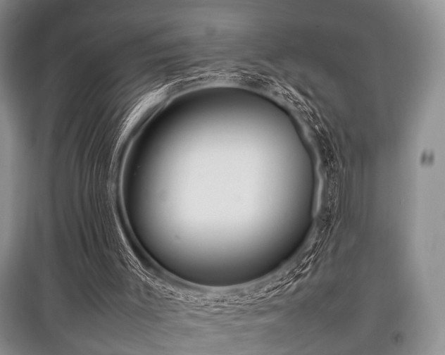 X0000097880003200803141330