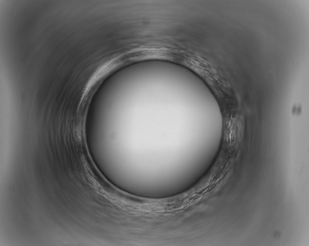 X0000097880004200803141330