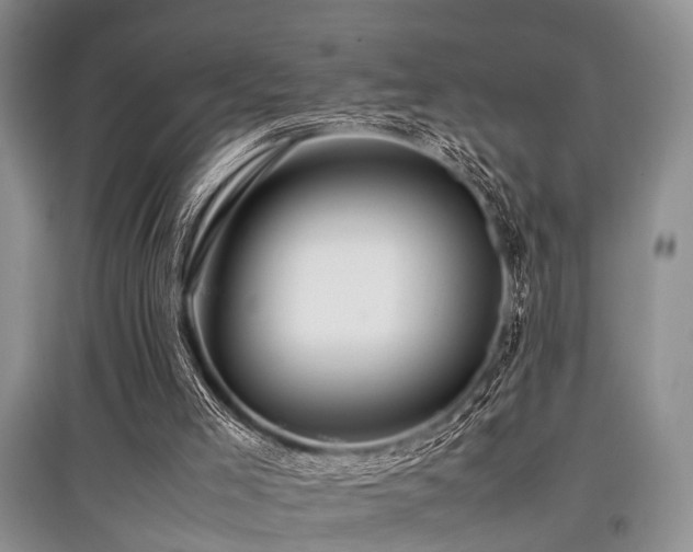 X0000097880005200803141330