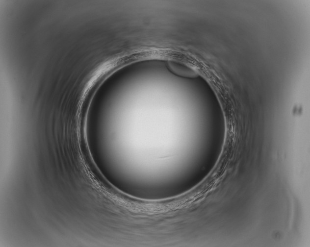 X0000097880006200803141330