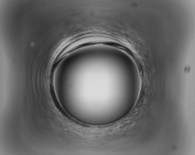 X0000097880007200803141330
