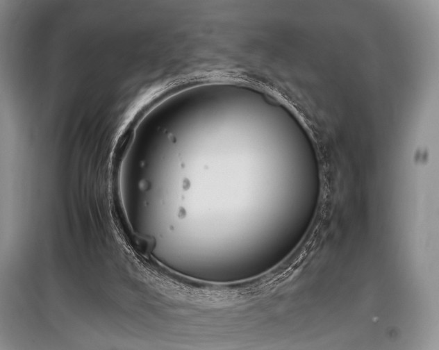 X0000097880008200803141330