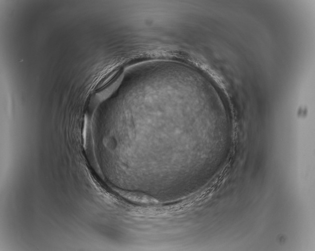 X0000097880009200803141330