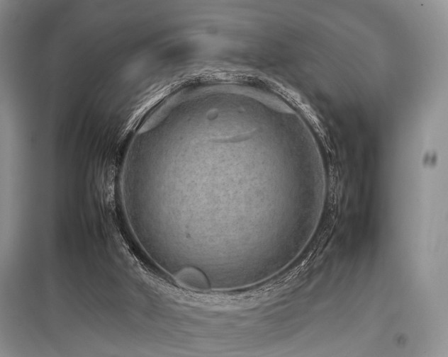 X0000097880010200803141330