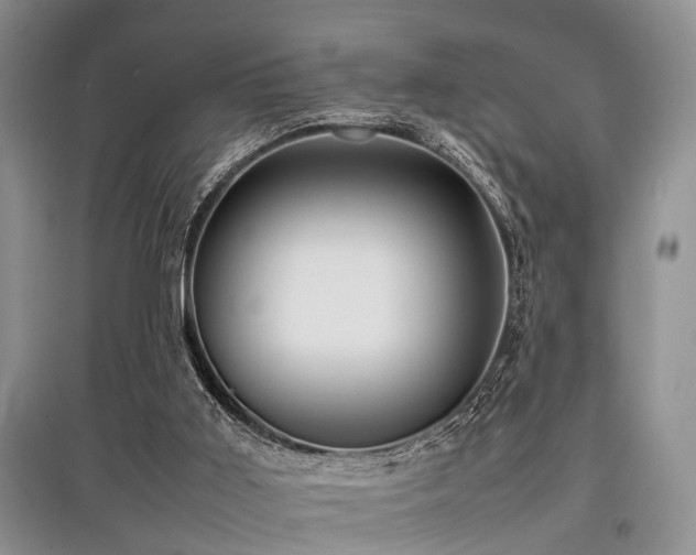 X0000097880011200803141330