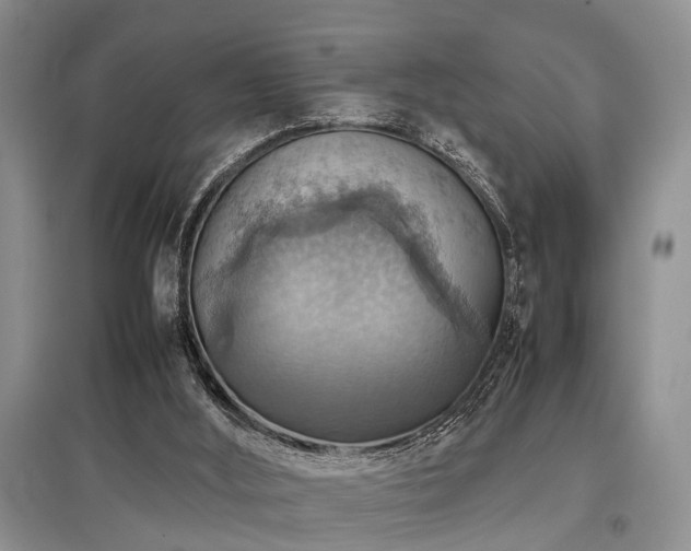 X0000097880012200803141330