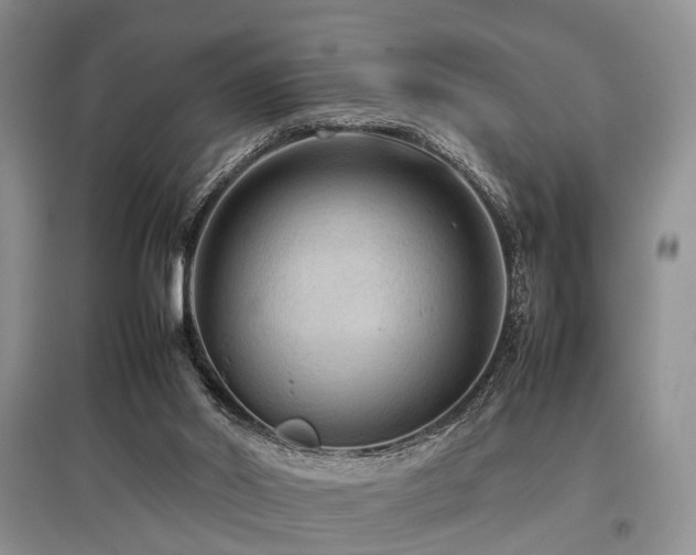 X0000097880014200803141330