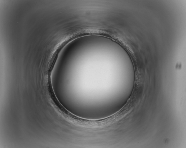X0000097880015200803141330