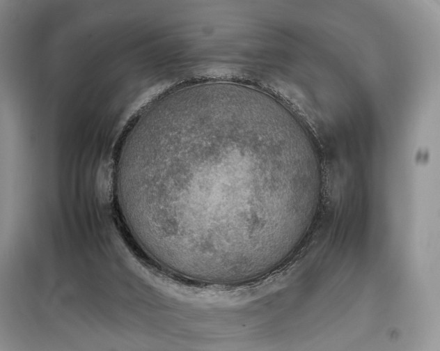 X0000097880016200803141330