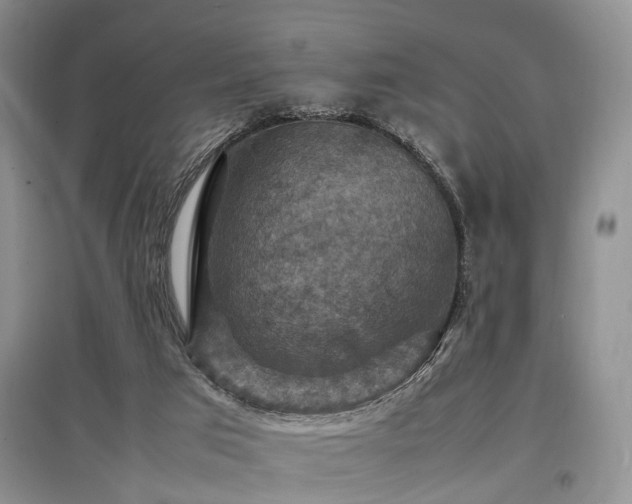 X0000097880017200803141330