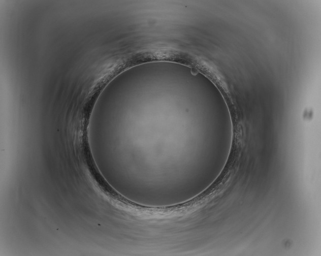 X0000097880018200803141330